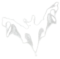 opium bat